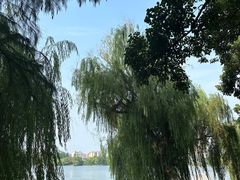 -沙市市中山公园