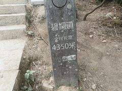 -梧桐山风景名胜区