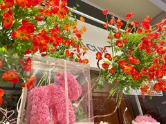 -杂咖zacup(领展中心城店)