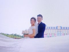 -百万葵园