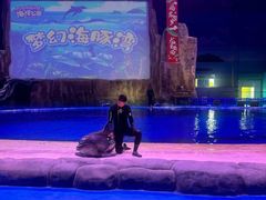 -华夏文旅海洋公园
