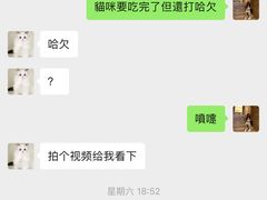 -袖虎·猫馆(体育西路店)