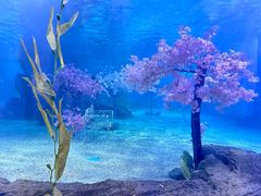 -常州海昌海洋探索馆