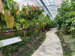 -歌斐颂巧克力小镇