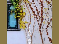 -杭州西湖柳莺里酒店·闻莺厅