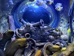 -成都浩海立方海洋公园
