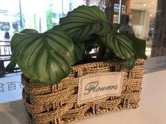 -西檬树SIMON·T轻奢蛋糕(大东方Max店)