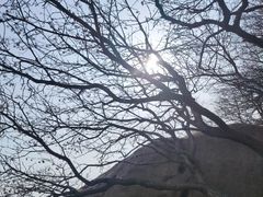 -崂山巨峰游览区