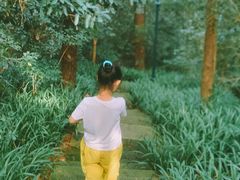 -杭州黄龙洞