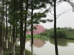 -乌村