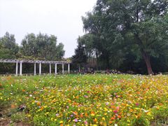 -绿堤公园