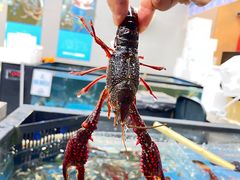 -盒马鲜生(宝地店)
