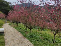 -广州市石门国家森林公园
