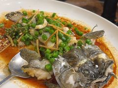-猪肉婆私房菜(容桂总店)