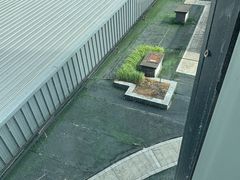 -东旭阳光国际大酒店