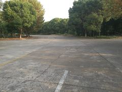 -通略驾校(新村路店)
