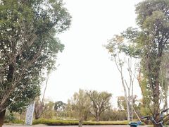 -白鹭湾湿地公园