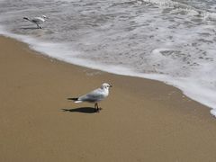-海云台海滩