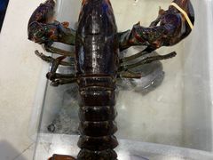 波士顿活龙虾-正黄旗海鲜烧烤大排档(延安路总店)