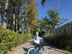 -前小桔亲子创意农场·草莓采摘·露营烧烤