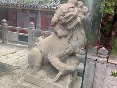 -汝州市汝瓷博物馆