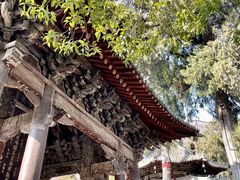 -报恩寺(平武县)
