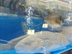 -明本湛江鸡•海鲜小厨(陈家祠店)