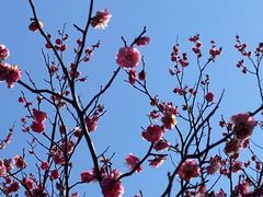 -广富林郊野公园