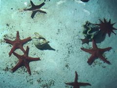 -福州罗源湾海洋世界旅游区