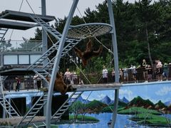 -西霞口神雕山野生动物世界