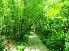 -开平碉楼文化旅游区马降龙景区