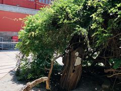 -大钟寺古钟博物馆
