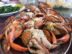 -大湾区中央湿地公园-十九涌