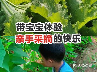 带宝宝体验亲手采摘的快乐