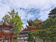 -上海东林寺(金山区)