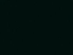 -牛叔鲜羊肉铜火锅(远东小区店)