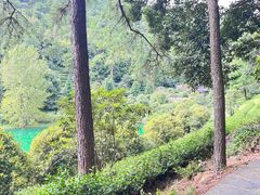 -九龙潭景区