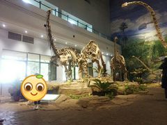 -自贡恐龙博物馆