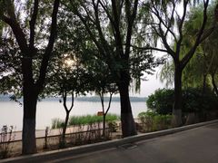 -丁香湖公园