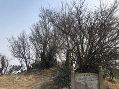-长沙黑麋峰国家森林公园