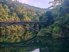 -鼎湖山风景区