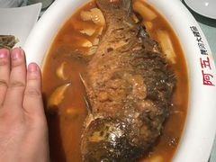 -阿五黄河大鲤鱼(英协路店)
