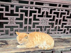 景点-无锡惠山寺