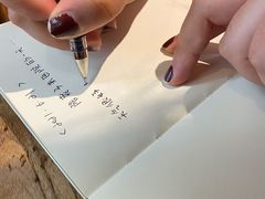 -No Cat 手碟