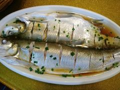 -呼吸森林·生态农庄农家乐私房菜