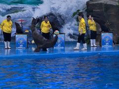 -多彩贵州城极地海洋世界