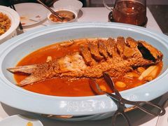 -阿五黄河大鲤鱼(英协路店)