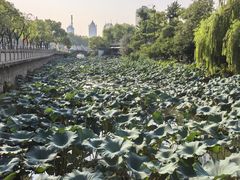 -南通濠河风景名胜区