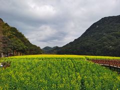 -广州市石门国家森林公园