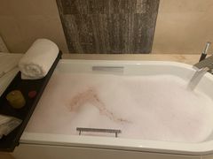 -上海崇明金茂凯悦酒店